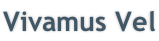 Vivamus Vel