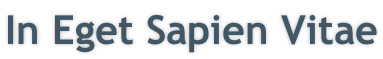 In Eget Sapien Vitae