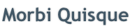 Morbi Quisque